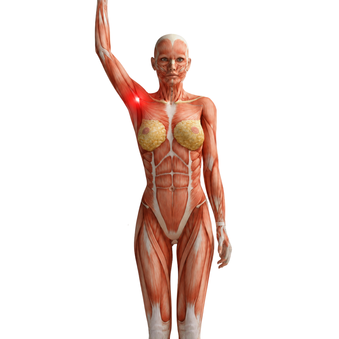 ¿Levantar el brazo te jala o te duele?